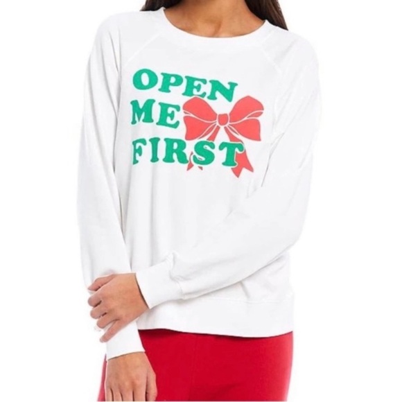WILDFOX “Open Me First” Sweater Pullover Size Small - Picture 1 of 9